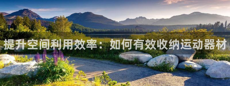 九游体育官网下载招商电话地址查询：提升空间利用效率：如何有效