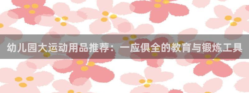 九游体育官方正版app代理：幼儿园大运动用品推荐：一