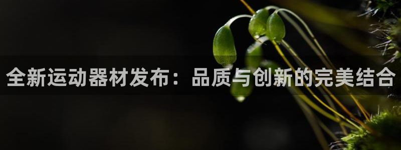 注册九游体育官方正版app：全新运动器材发布：品质与创新的完