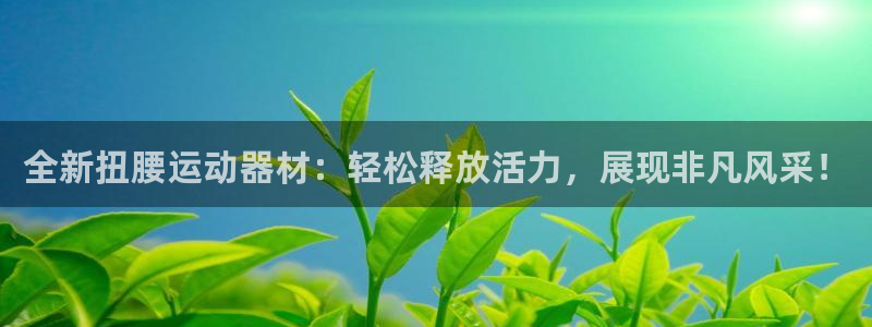 九游体育官方正版app五金厂：全新扭腰运动器材：轻松释放活力