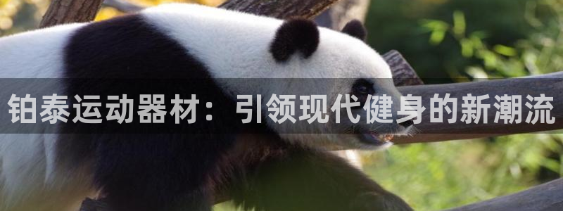 九游体育官网下载娱乐：铂泰运动器材：引领现代健身的新潮流