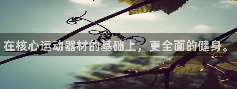 九游体育官方正版app开户：在核心运动器材的基础上，更全面的
