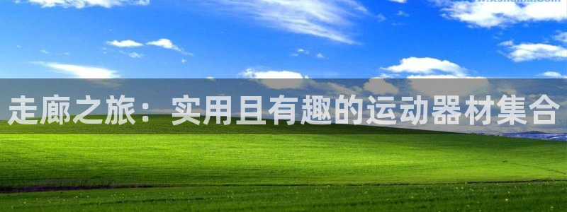 九游体育官方正版app集团
