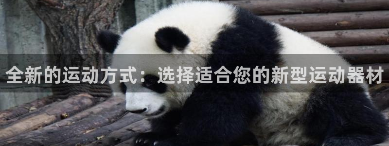 九游体育官网下载招商电话号码查询：全新的运动方式：选择适合您