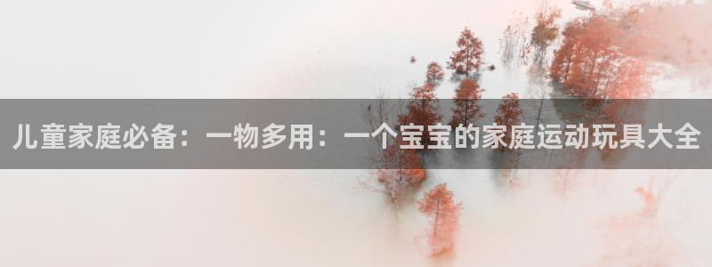 九游体育官方正版app五金厂：儿童家庭必备：一物多用