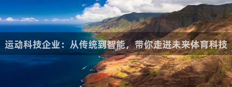 九游体育官方正版app集团：运动科技企业：从传统到智能，带你