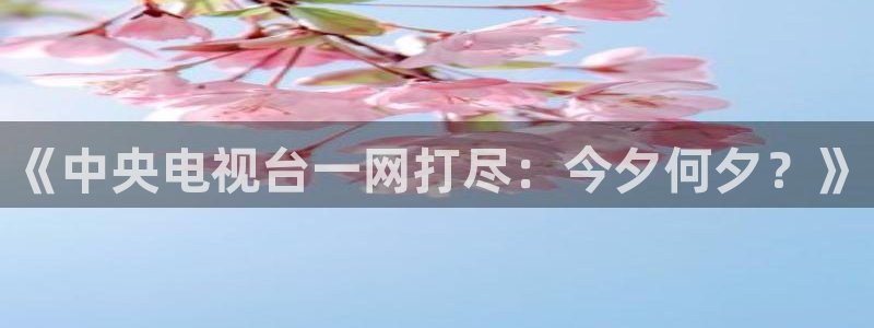 足球体育直播吧：《中央电视台一网打尽：今夕何夕？》