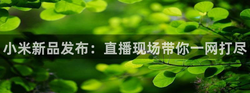 看个球直播吧：小米新品发布：直播现场带你一网打尽
