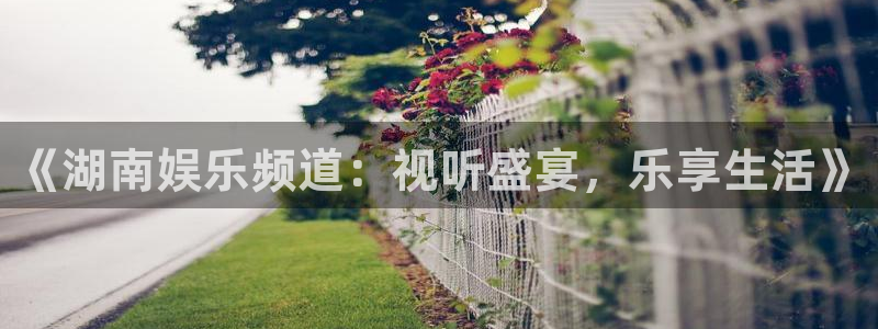 黑白足球直播吧：《湖南娱乐频道：视听盛宴，乐享生活》