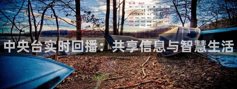500体育直播吧nba：中央台实时回播：共享信息与智慧生活