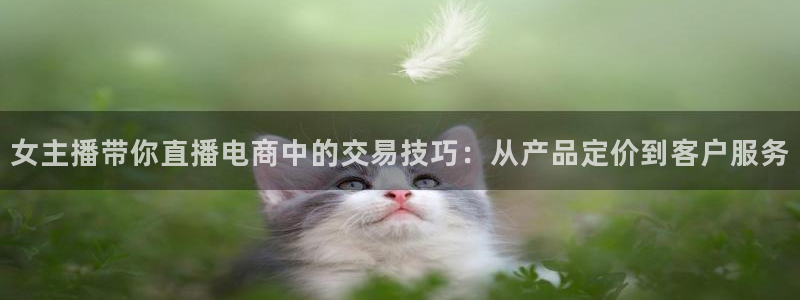 足球直播直播吧：女主播带你直播电商中的交易技巧：从产品定价到客户服务