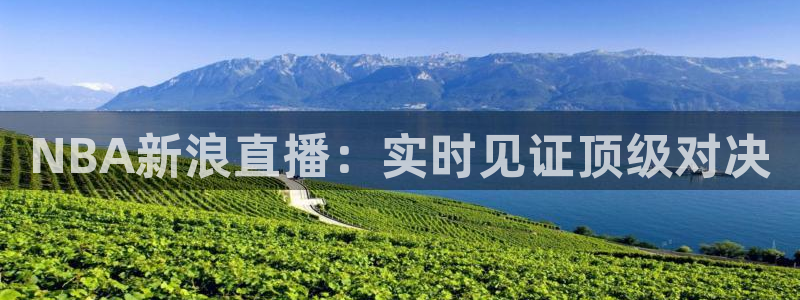 足球直播吧360直播雨燕直播：NBA新浪直播：实时见证顶级对决