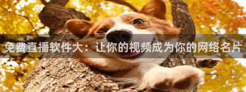 绿色体育直播吧：免费直播软件大：让你的视频成为你的网络名片