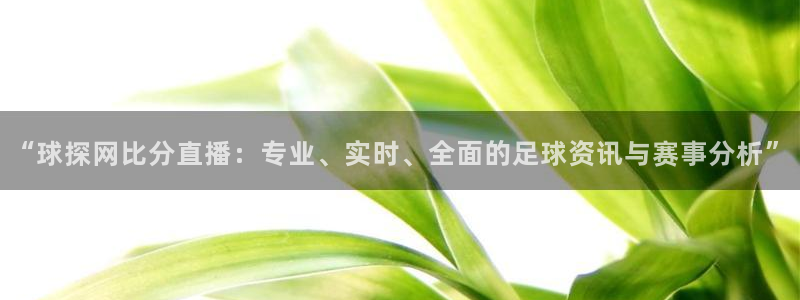 体育直播吧在线直播免费观看：“球探网比分直播：专业、实时、全面的足球资讯与赛事分析”